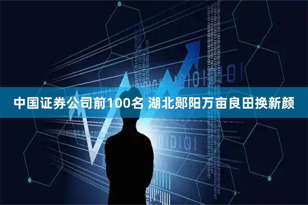 中国证券公司前100名 湖北郧阳万亩良田换新颜