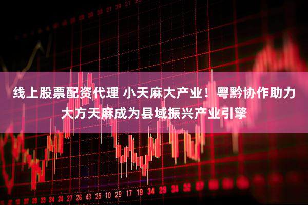 线上股票配资代理 小天麻大产业!粤黔协作助力大方天麻成为县域振兴产业引擎