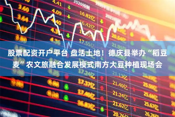 股票配资开户平台 盘活土地！德庆县举办“稻豆麦”农文旅融合发展模式南方大豆种植现场会